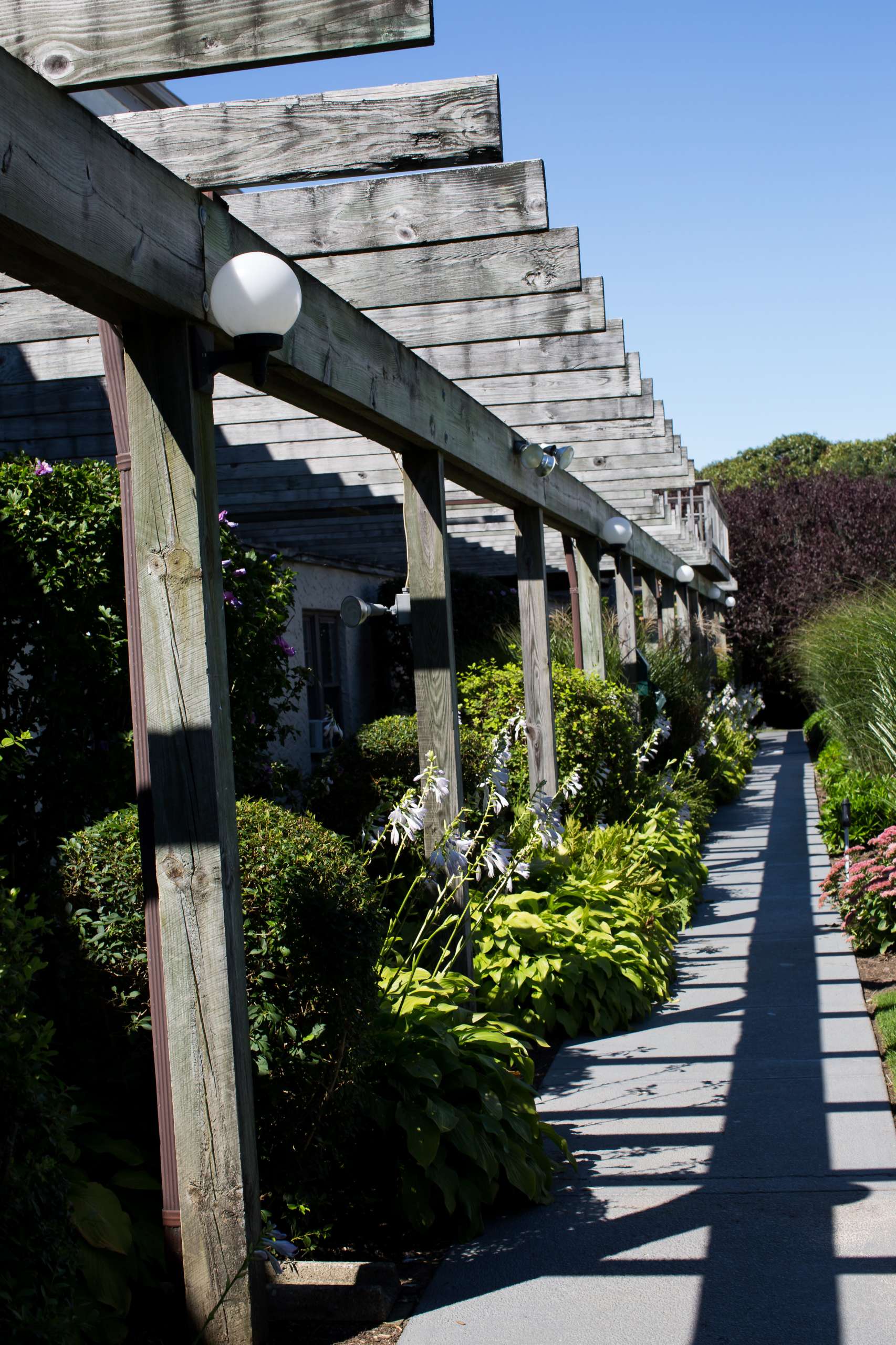 Garden Walkway-Flowers