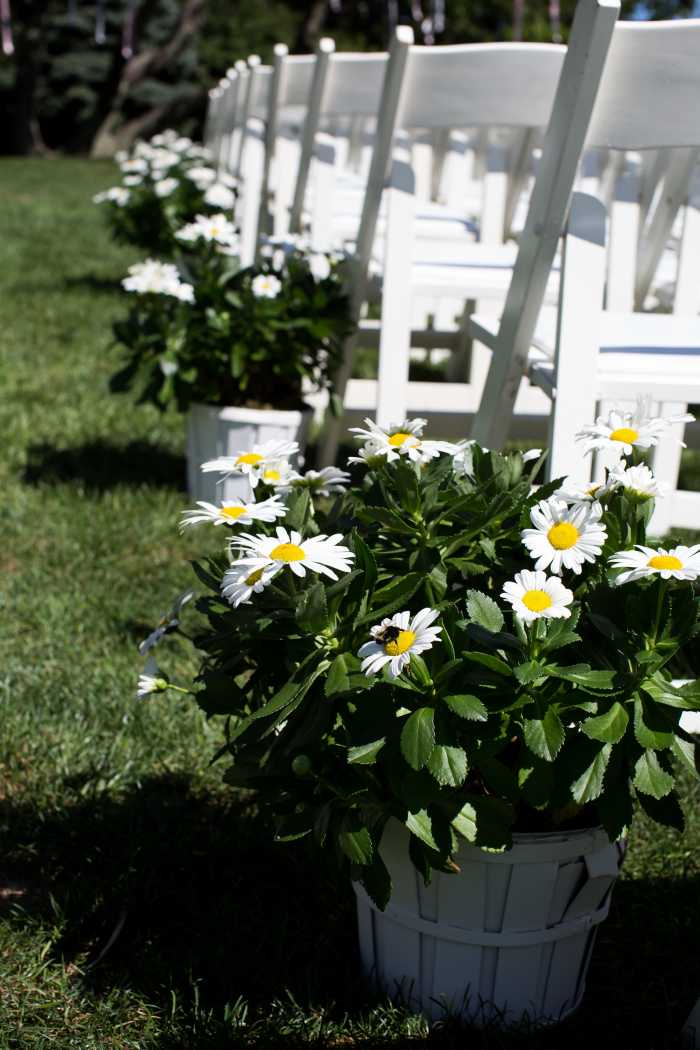 Sole East: Outdoor Weddings. Photo: 4 Eyes Photography