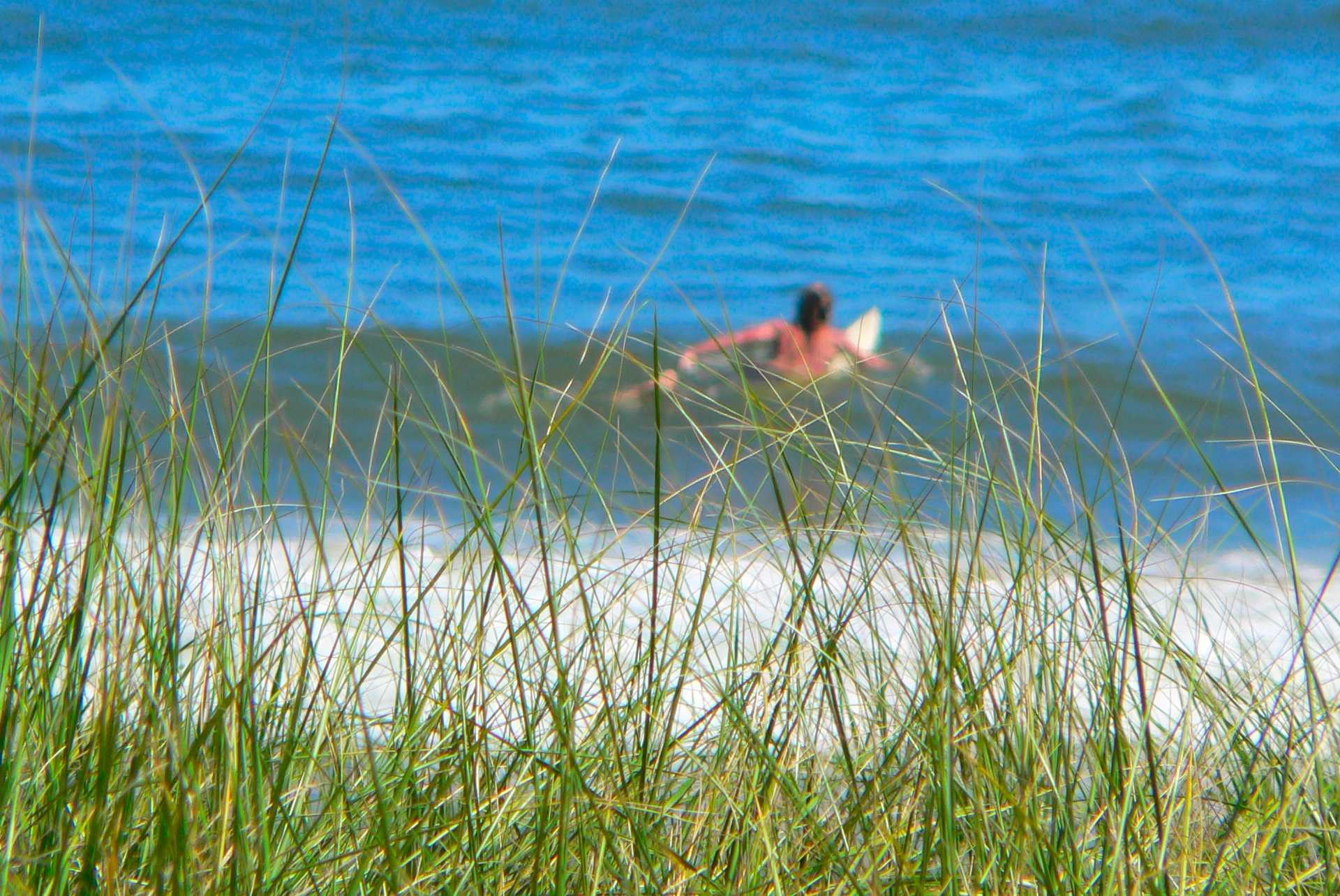 Sole East Beach - Montauk, NY